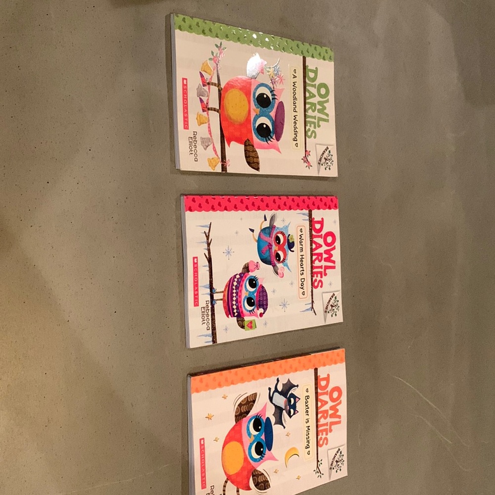 Brand new lot if 3 owl diaries books. These were never used or opened
